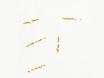 精密51漫画官网入口-H62銅